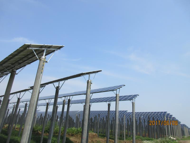 1498631091583626.jpg 郎溪盛世飛鯉二期20MW分布式光伏地面電站項目.jpg