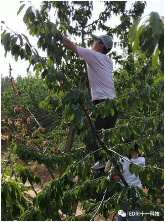 1560906550246321.jpg 6.jpg